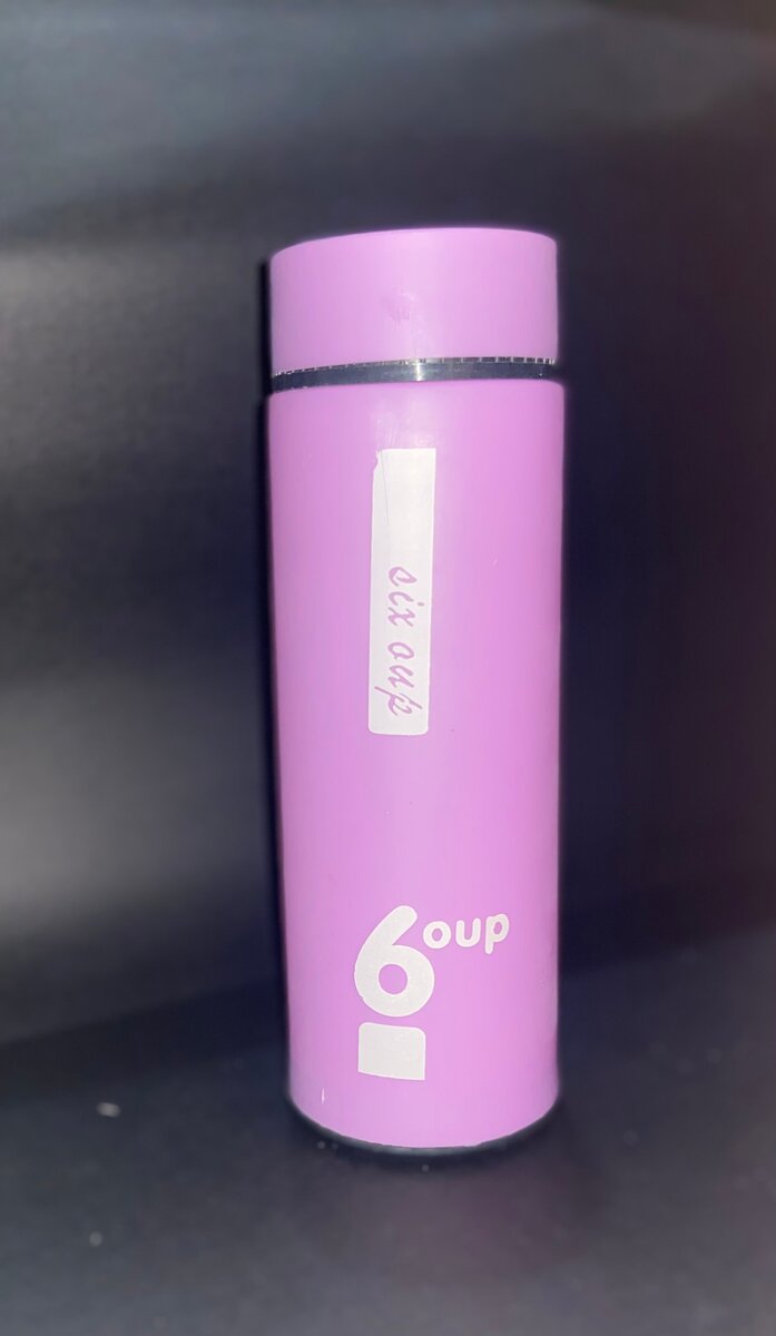 Gourde Isotherme 400ml Portable