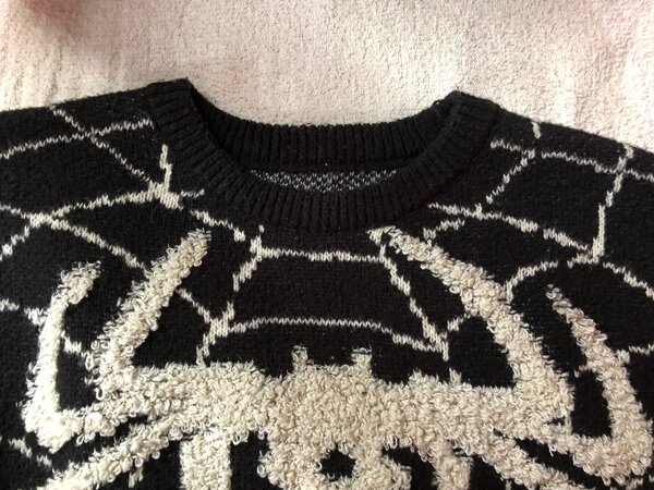 Свитер паук