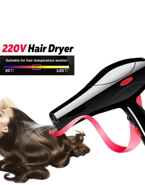 220V 2200W Professional Hairdressing Salon Hair Dryer Cold