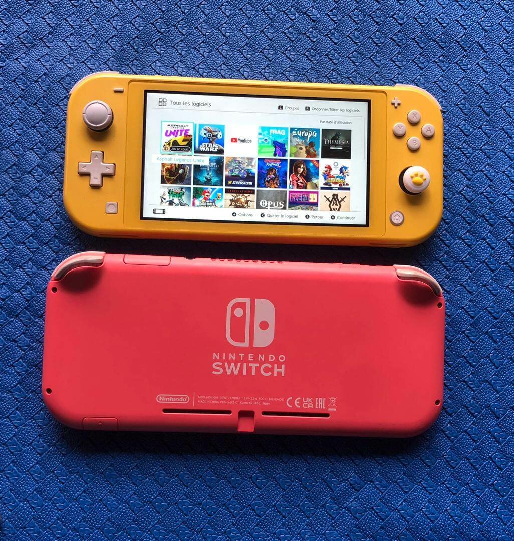 Nintendo Switch lite +20 jeux installés