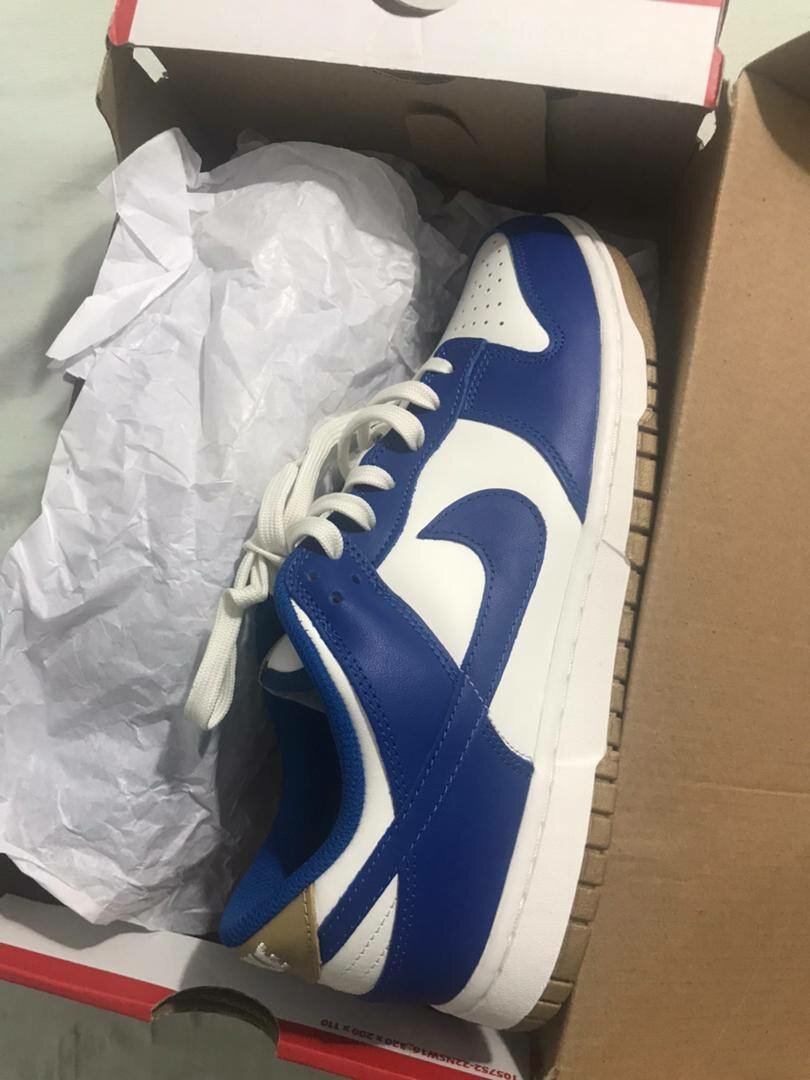 Nike Dunk Low Bleu Homme/Femme