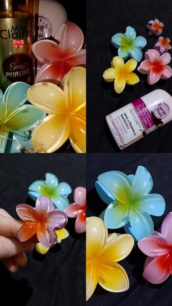 Barrettes Fleurs Multicolores
