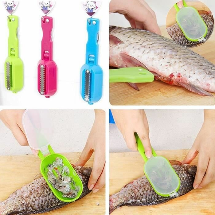 Écailleur de Poissons Efficace