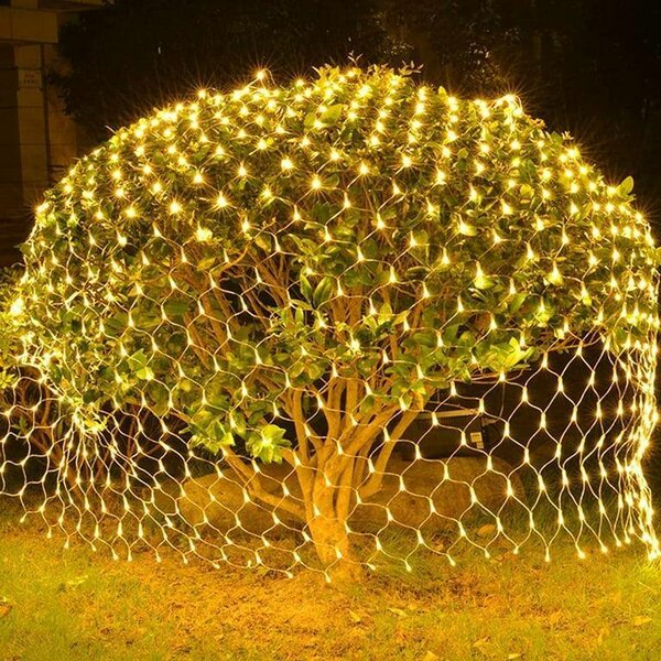 Fairy lights