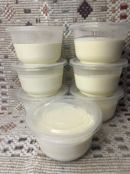 Yaourts fraîche maison bio