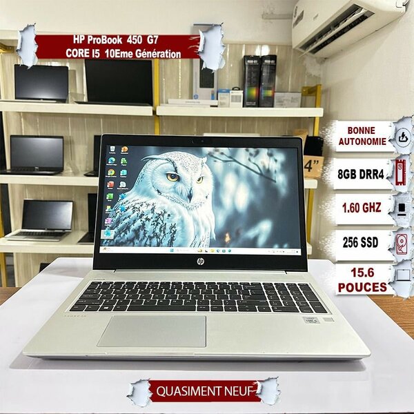 HP ProBook 450 G7