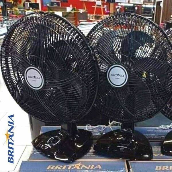 Floor & table fan