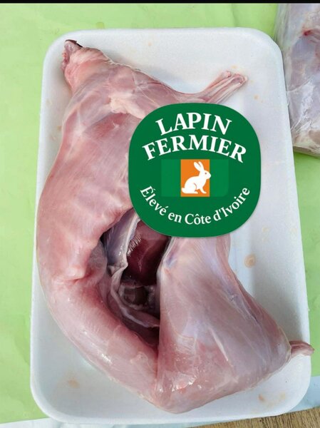 Lapin Fermier Côte d'Ivoire