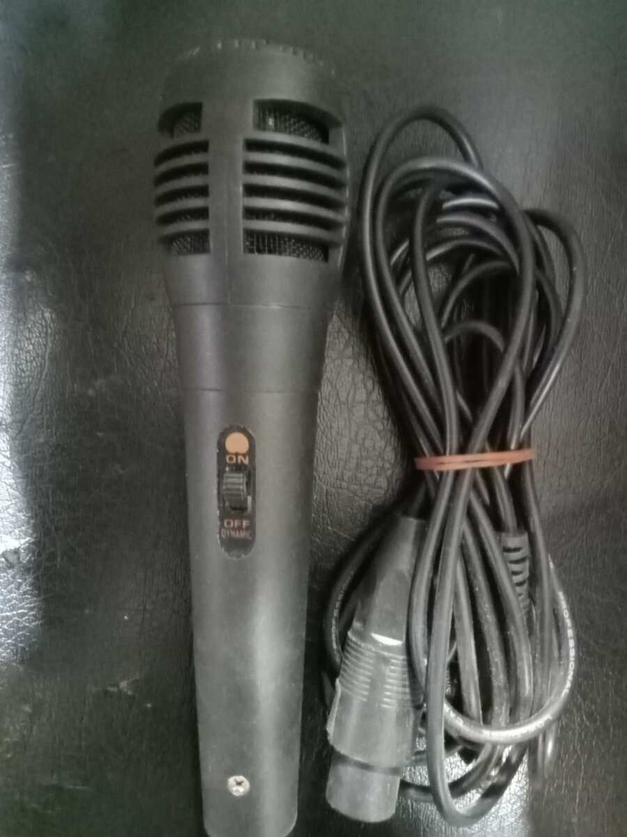 Mini mic