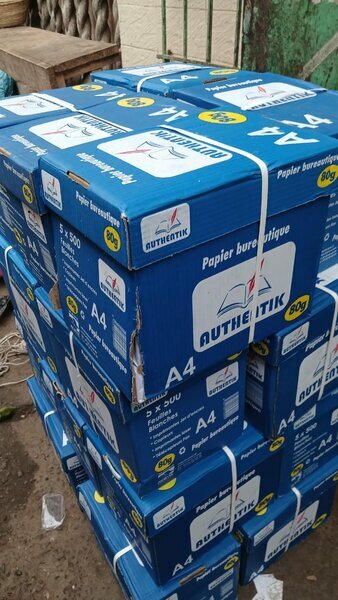 Carton de papier bureautique A4 Authentik