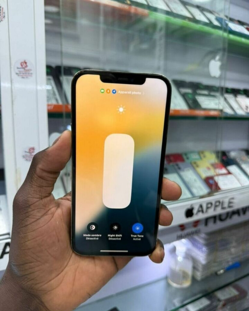 iPhone 12 Pro Max 256 Go