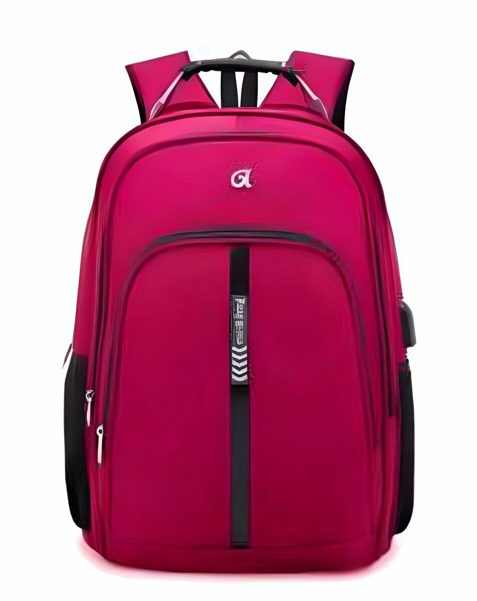 Travel Laptop Backpack with USB port