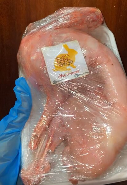 Lapin Frais Côte d'Ivoire