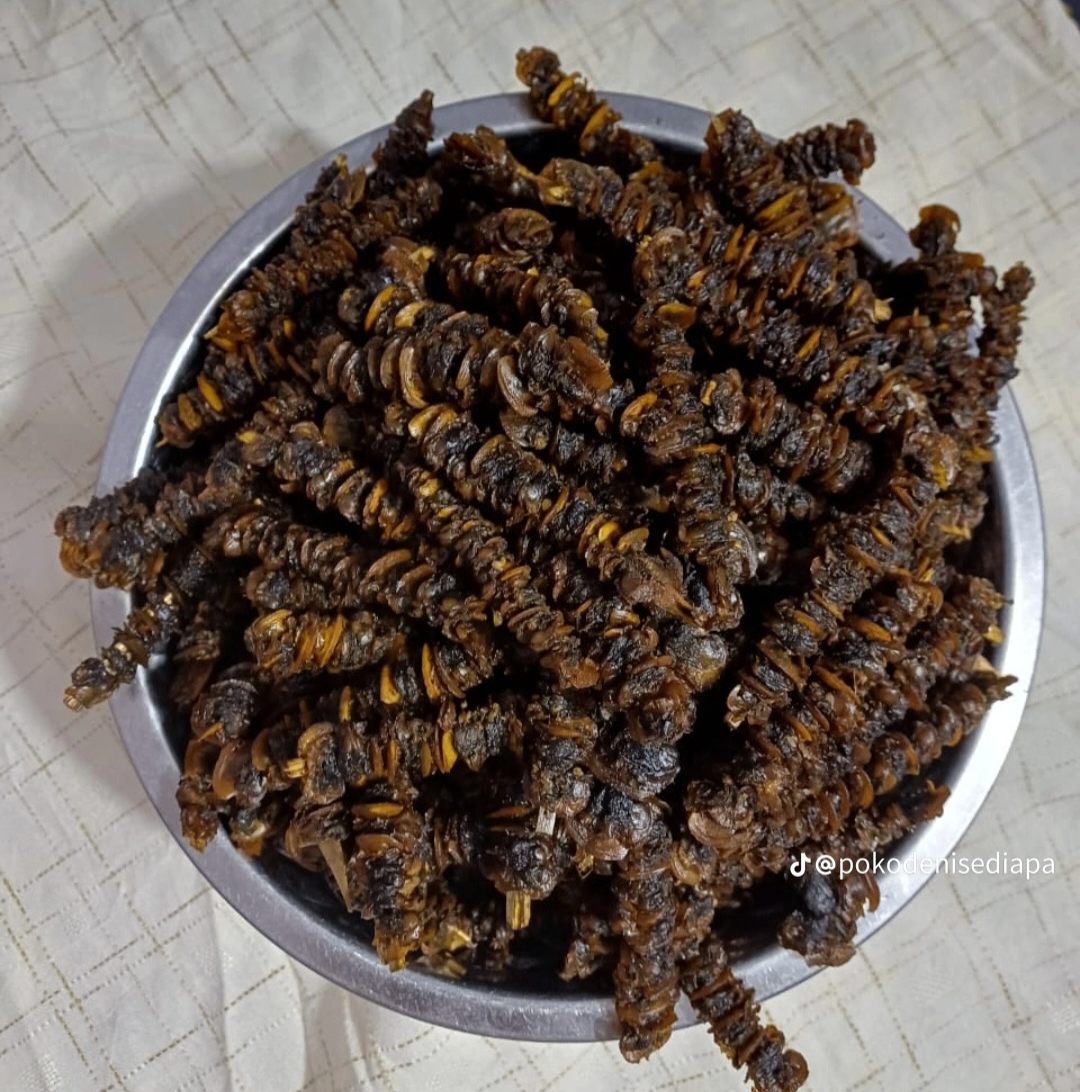 Brochettes de coquillage