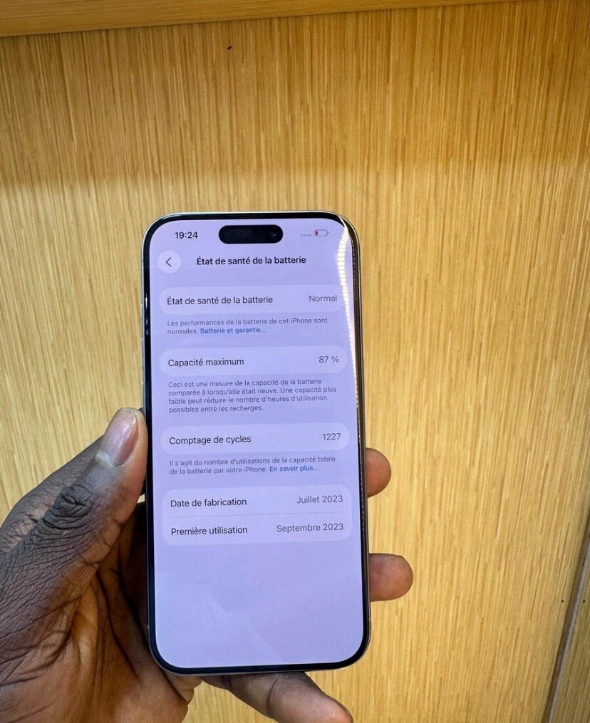 iPhone 13 Pro Max 256Go