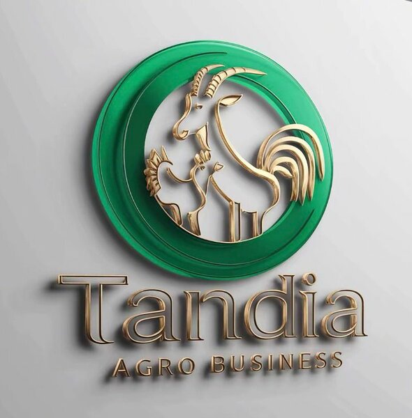 Tandia ACRO BUSINESS 