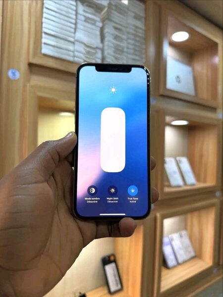 iPhone 12 Pro Max argent