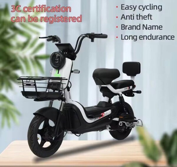 Vélo Électrique Pliable - Conduite Facile et Écologique