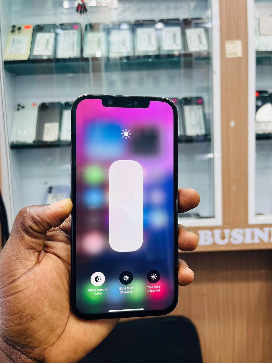 12 pro max 256giga sans id