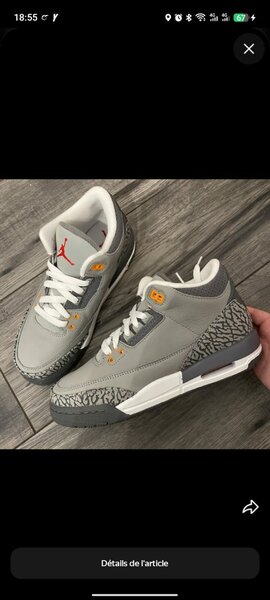 Chaussures Air Jordan 3 gris