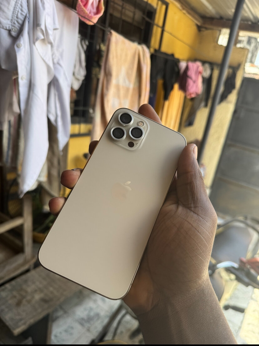 iPhone 12 Pro Max Argent