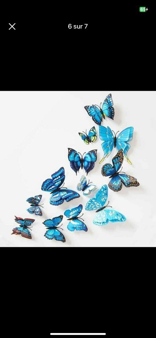 Papillons décoratifs