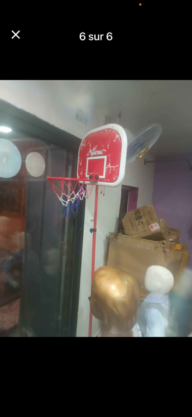 Panier de basket réglable