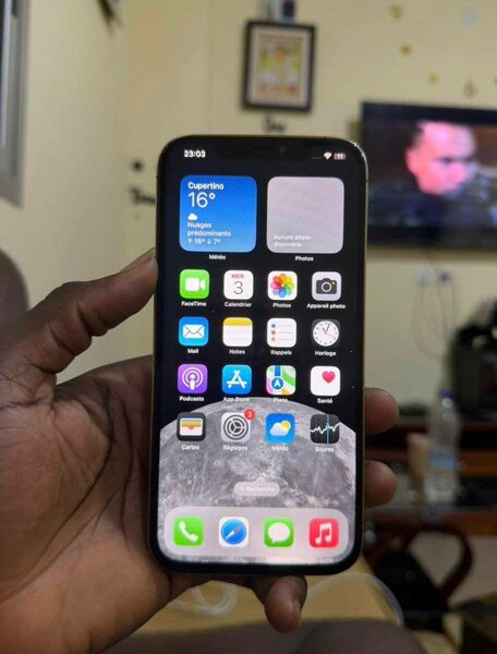 iPhone 12 Pro Max argent