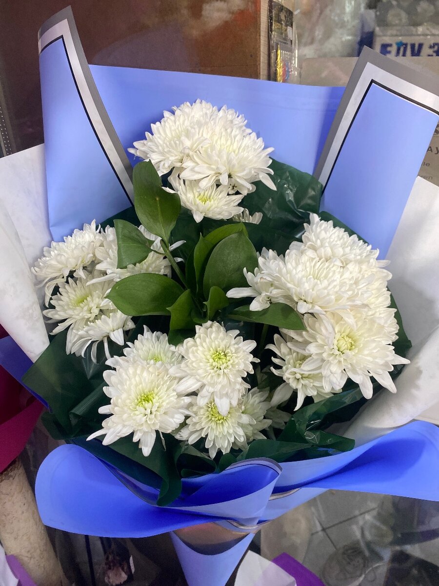 Цветы хризантема