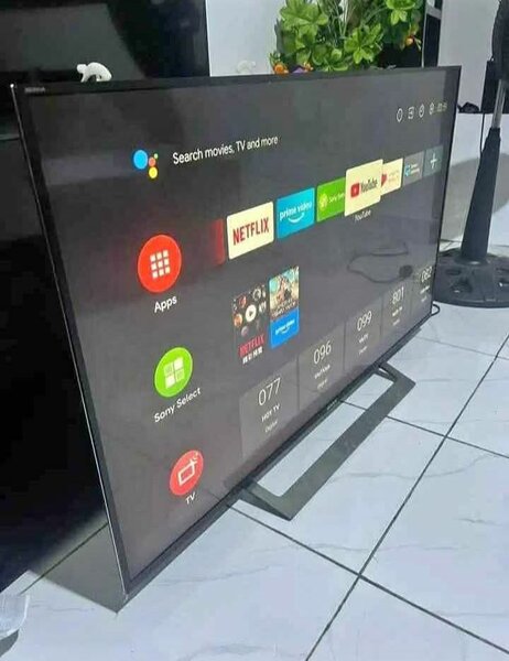 Téléviseur LED Intelligent 55"