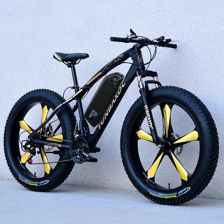 Vélo électrique Fatbike robust