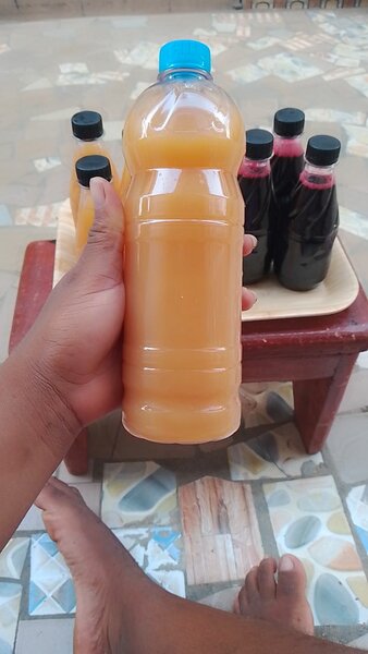 Jus Naturel 100% Pur