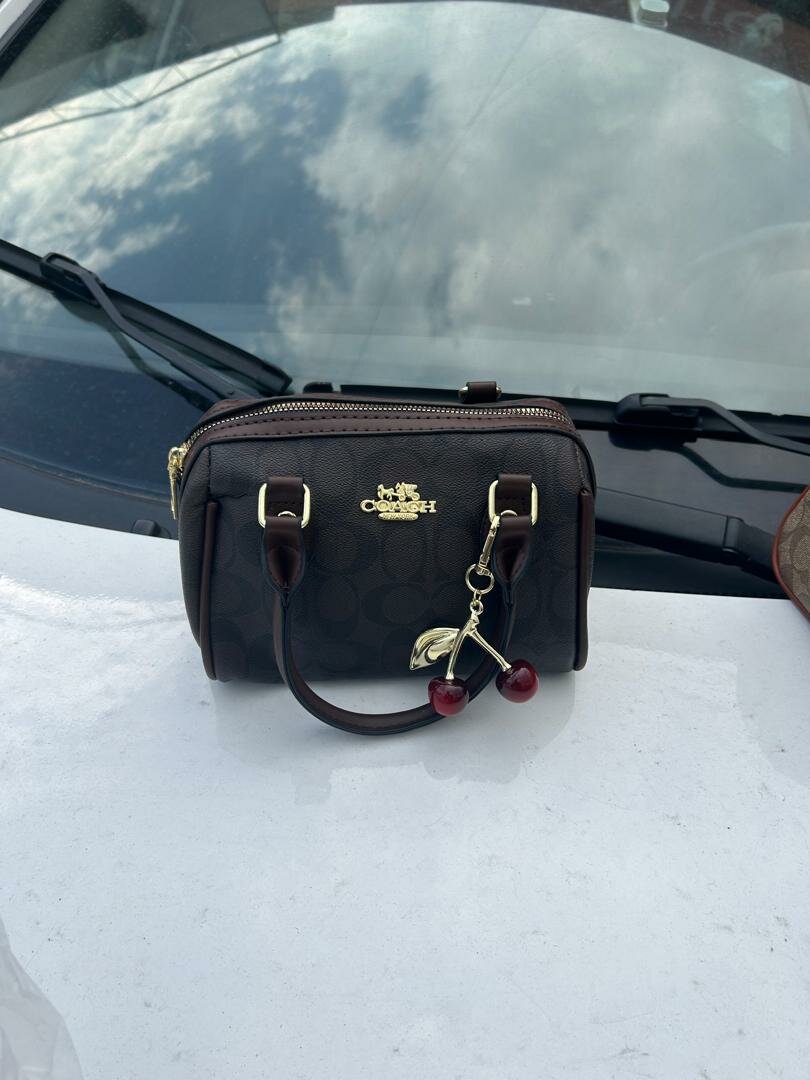 Sacs à main Coach élégants