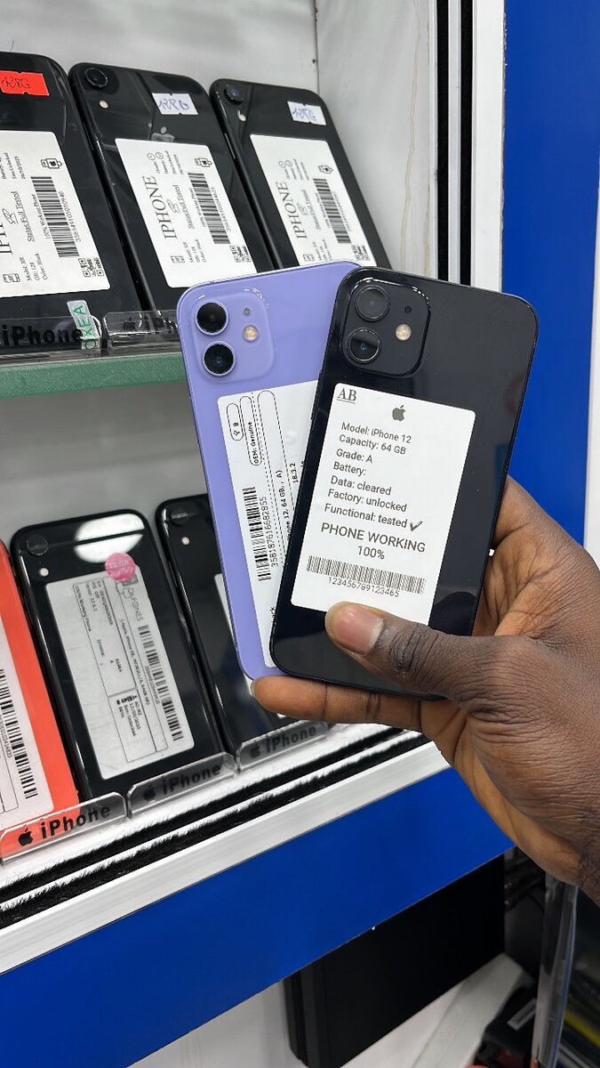 iPhone 12 - Noir et Violet