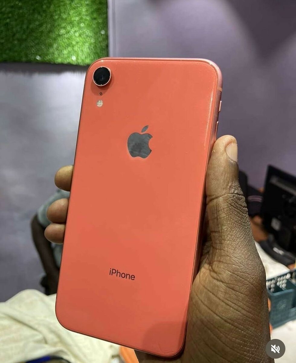 iPhone XR
