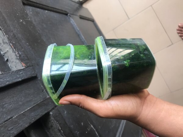 Savon teint marron /marron c