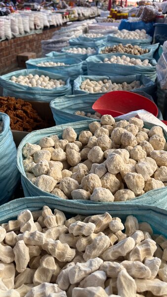 Домашние куруты