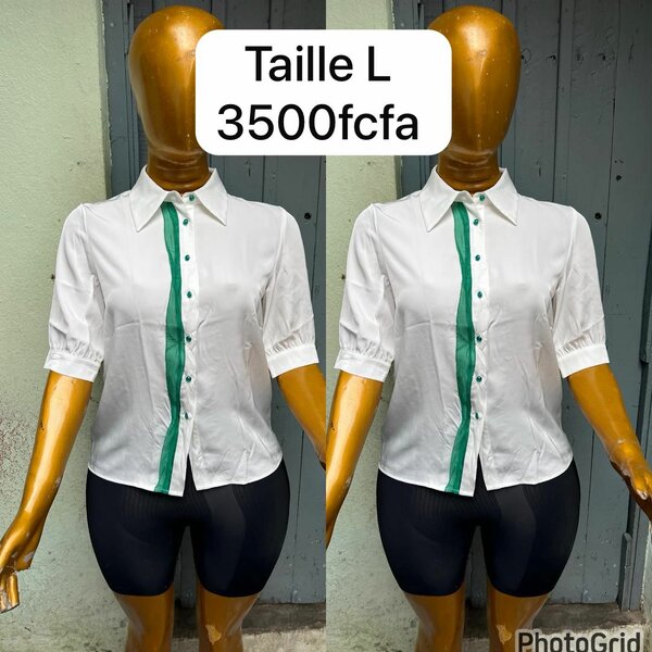 Chic Women's Blouse Collection