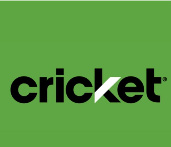 cricket market