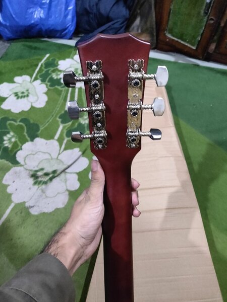 Acoustic Guitar
