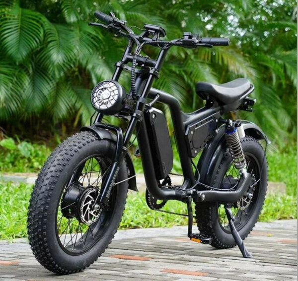 Vélo électrique tout-terrain