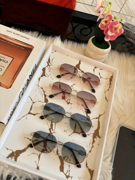 Lunettes de soleil élégantes