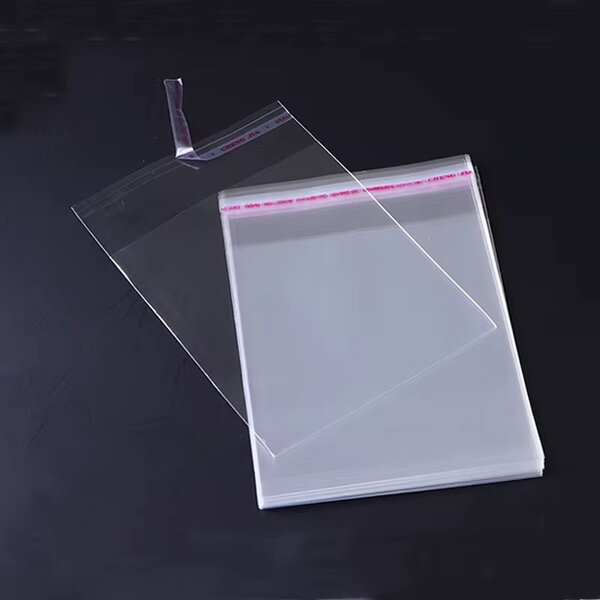 Sacs Transparents petit format