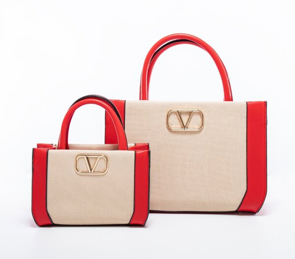 2 in 1 LV bag