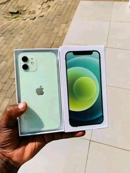iPhone 11 simple Vert