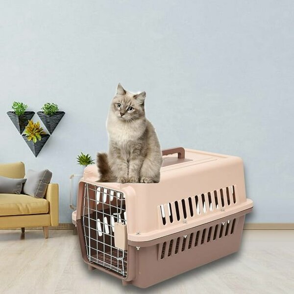 Transporteur pour chats durable