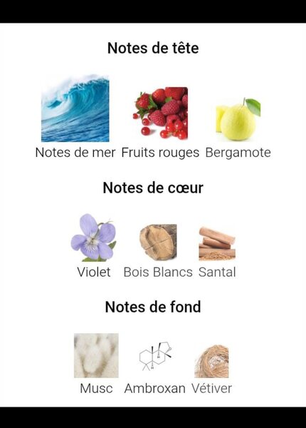 Club de Nuit Milestone