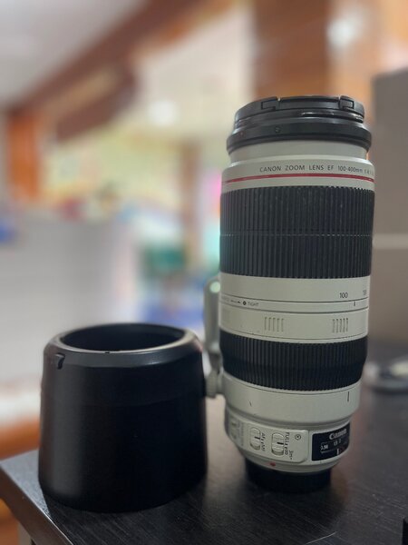 Canon Ef 100-400mm F/5.6l IS Li Usm Zoom Lens