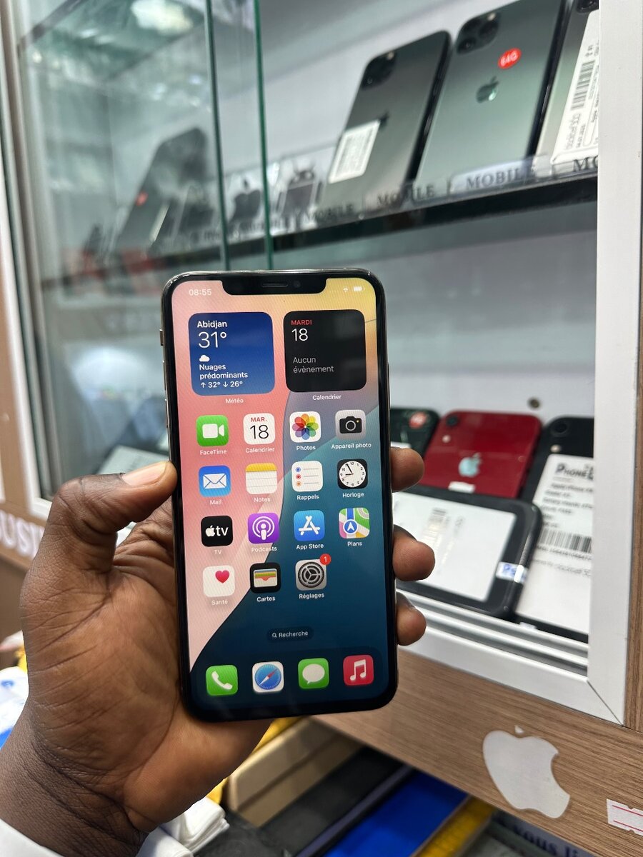 iPhone XS Max 64 Go