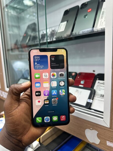 iPhone XS Max 64 Go